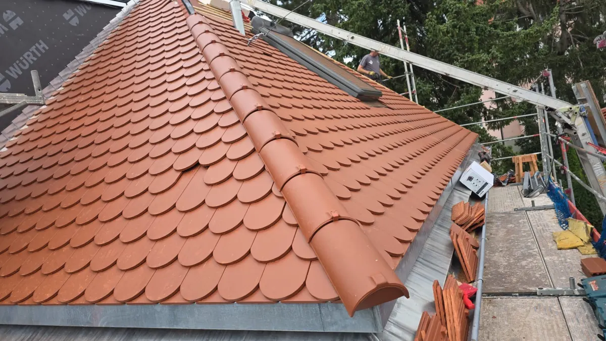 Gauben- und Dachfensterprojekt